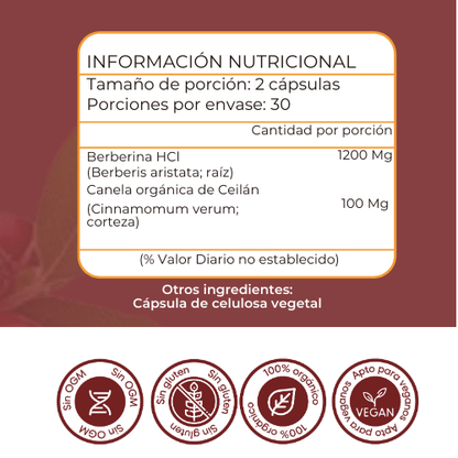 Promo Cyber: Berberina + Aguaje + Parches GLP-1 – Control del Apetito y Metabolismo